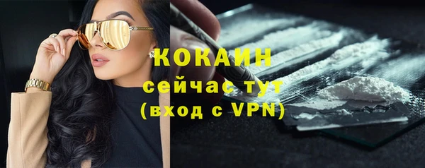 винт Бородино