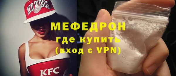 индика Богородицк