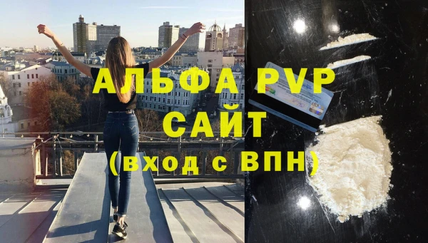 стаф Богородск