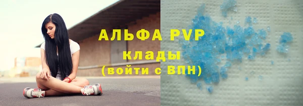 индика Богородицк