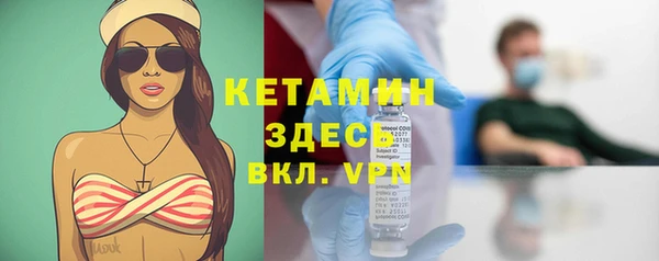 индика Богородицк
