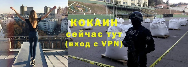 индика Богородицк