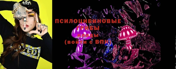 винт Бородино