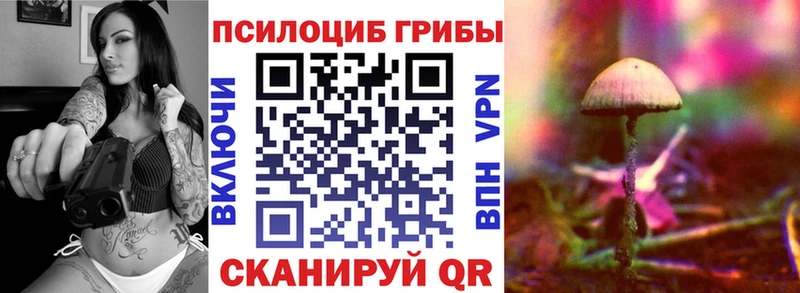Псилоцибиновые грибы Psilocybe Купить Малоярославец